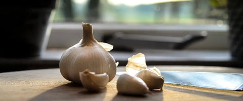 Garlic Intolerance