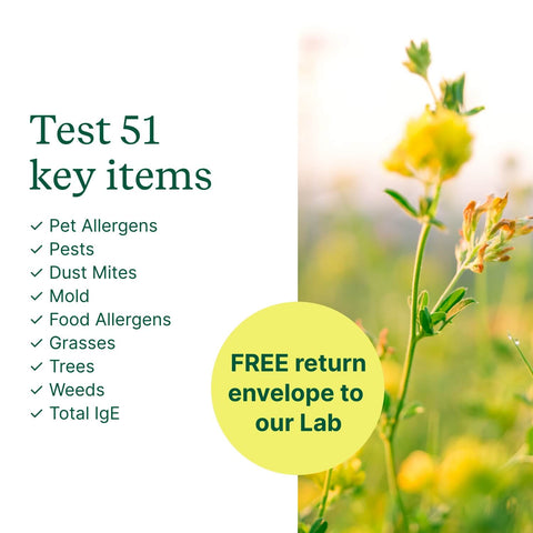 Indoor & Outdoor Allergy Test